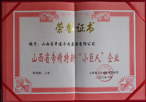 山西省專精特新小巨人企業(yè)